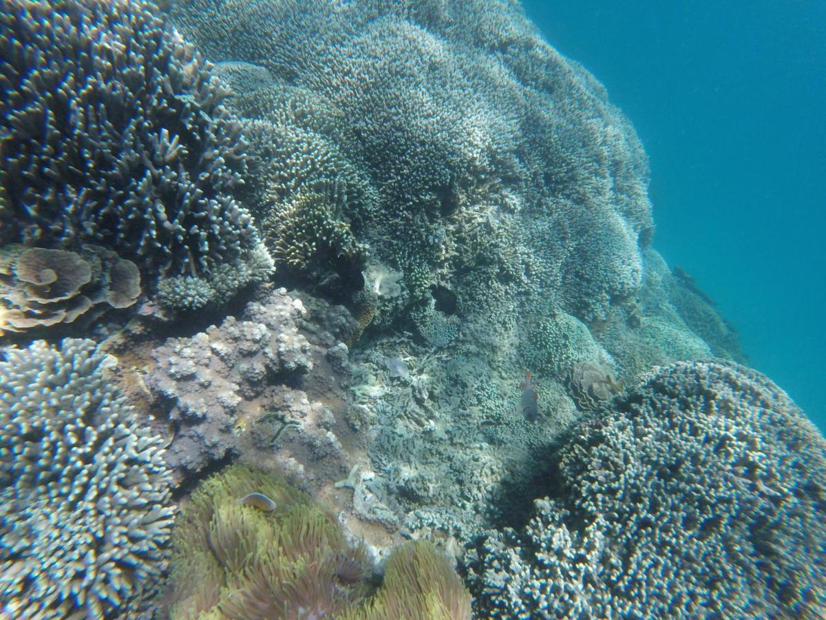 לינה וארוחת בוקר Kwale Mami Wata House מראה חיצוני תמונה